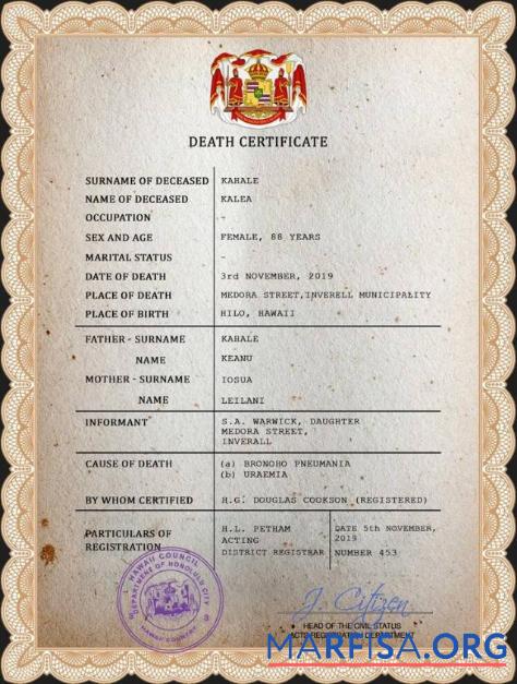 Blank Hawaii vital record death certificate PSD template